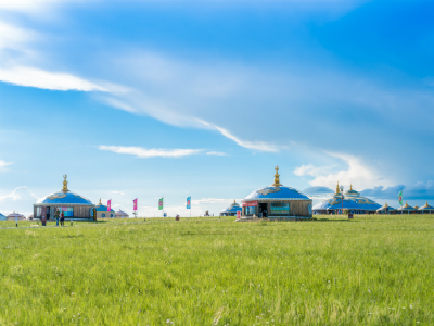 入境蒙古需要了解哪些事项？